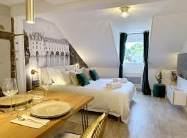 Amboise hyper centre - Cocon Royal à deux pas du Château，位于阿姆博斯的酒店