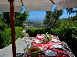 Exquisite estate, serene environment