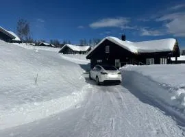 Annebu by Norgesbooking - cabin at 1000 meter with amazing view