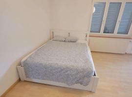 5-Bed Huge Flat in Zurich City - Schurgi - Self Checkin，位于苏黎世的酒店