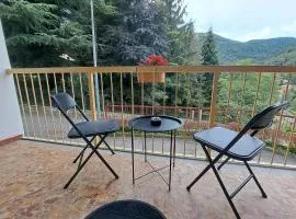 Dinky's apartment with a balcony overlooking the woods