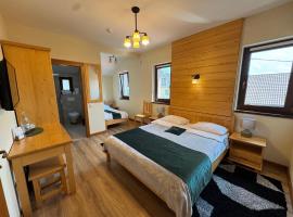 Villa Montana Borsec - Vedere Munte，位于博尔塞克的酒店