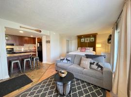 Modern Mountainside Ski In/Ski Out Studio at Blue，位于蓝山的酒店