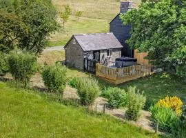 1 Bed in Knighton 51898