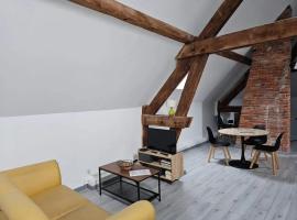 Appartement charmant à Beaugency, 60 m² + Douche moderne，位于博让西的酒店