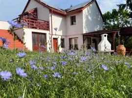 Gyimesvölgy Vendégház