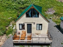 Gudauri Private Cottage 2，位于古多里的酒店