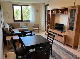 Borovets Gardens apartment C-43，位于波罗维茨的酒店
