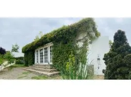 Estudio Casa Marieta