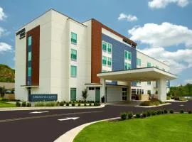 SpringHill Suites by Marriott Ellijay