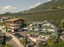 Pension Höfler - Fernblick，位于思科纳的酒店