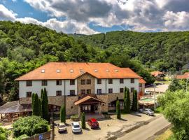 Hotel Hunor，位于沙托劳尔尧乌伊海伊的酒店