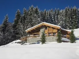 Chalet luxueux 4****, calme, proche pistes ski, 10 pers, WiFi, parking - FR-1-304-196