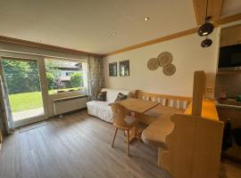 Gemütliche Wohnung mit Bergblick und Terrasse，位于上迈塞尔施泰因的酒店