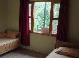 Baloo's Family homestay