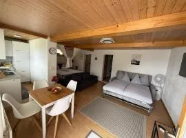 Studio with lake and mountain view