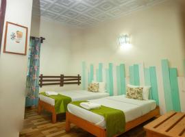 Hotel Mahamanina，位于菲亚纳兰楚阿的酒店