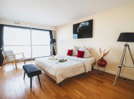 Appartement spacieux vue Cathédrale，位于兰斯的酒店