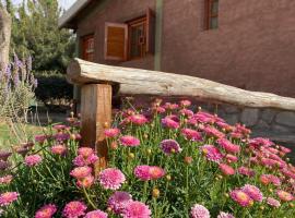 cabañas las viñas，位于Anguinán的酒店