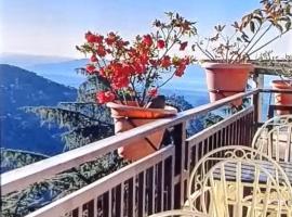 Hotel Holiday Hill, Near Mall Road, Mcleodganj# parking#Restaurant，位于达兰萨拉Kangra Airport - DHM附近的酒店