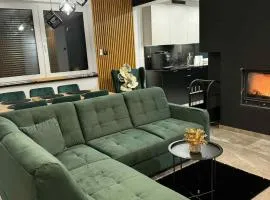 Domki nad stawem nr 3