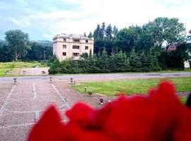Zielona Paszkówka