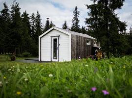 Meža namiņš Upeskrasti，位于Zosuļi的酒店