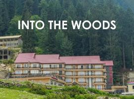 RockWood Resort, Naran，位于纳兰恩的酒店