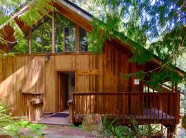 Chalet at Rainier Lodge (0.4 miles from the entrance)，位于阿什福德的酒店