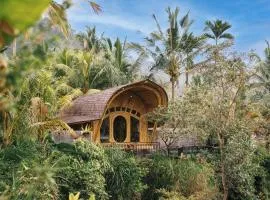 Aura Cendana Hill Sidemen