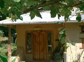 The Art Of Slow living- An Earth Home