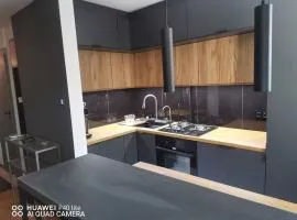 Niesamowita nowoczensa kawalerka w centrum kmicica