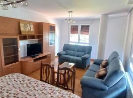 Apartamentos vacacionales La Vega Briviesca，位于布里维耶斯卡的酒店