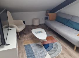 Cocon sous les toits By UnSejourANancy Fr，位于南希的酒店
