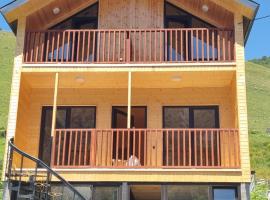 Vista Adishi，位于Adishi的酒店