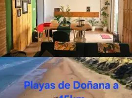 Loft industrial a 45min Playas de Doñana Home Torremirador