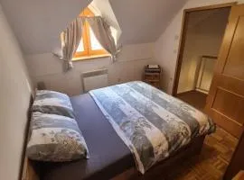 Marjetica 40