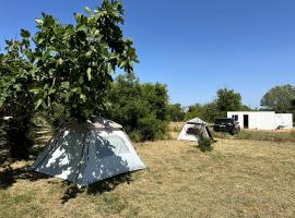 Greenfield campsite，位于东吉托伊的酒店