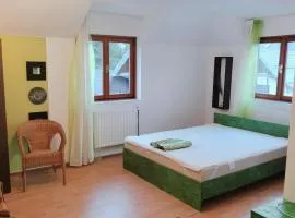 Vila Vlad