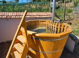 Casa rustică，位于Ludoş的酒店