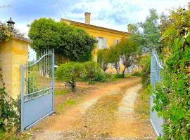 Domaine de Sainte-Terre