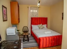 Burgundy Studio with free WI-FI