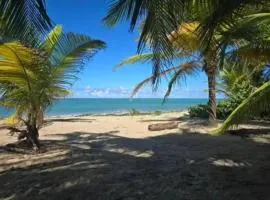 Ocean Motion Rental Casa en la playa con piscina cerca Yunque y VSjuan