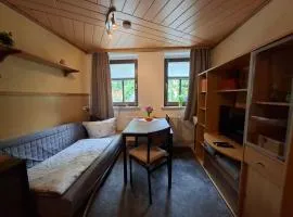 ansimali 2 - 1Zimmer-Apartment mit Wohn- und Schlafraum, integrierter Küchenzeile, separater Dusche und WC - ideal für Alleinreisende und Monteure am Spiegelwald