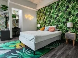 2811 SECRT Sabana Hermoso Estudio