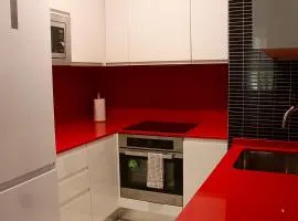 Quiet flat near Zurriola beach