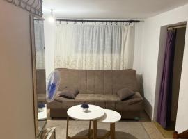 Apartman centar，位于波德戈里察的酒店