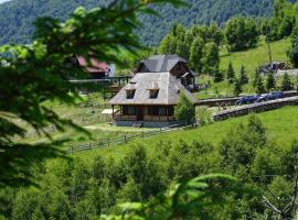 Casa Vlădușca，位于佩什泰拉的酒店