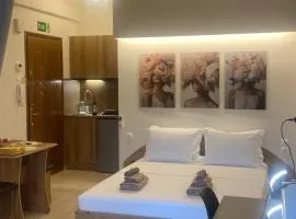 Central studio D1 Volos
