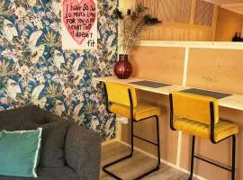 Tinyhouse centrum Drachten